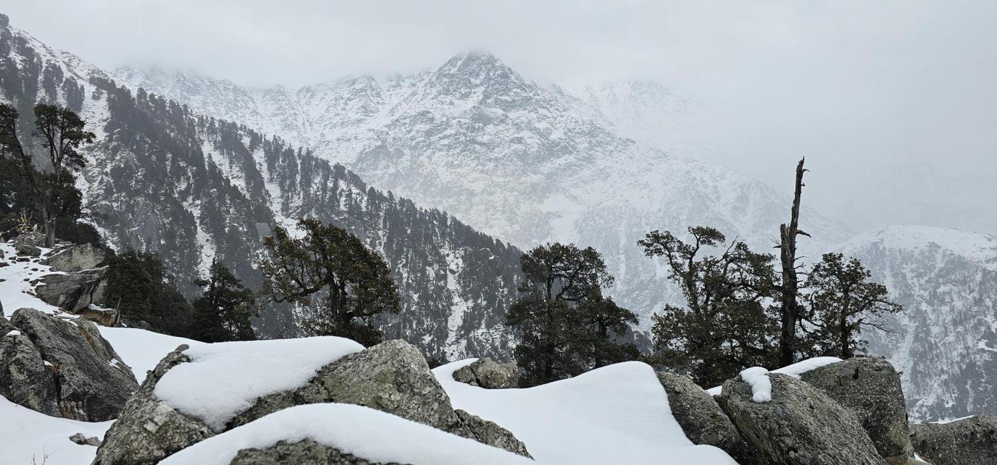 Hotel Starwud Kotagge McLeod Ganj Bagian luar foto